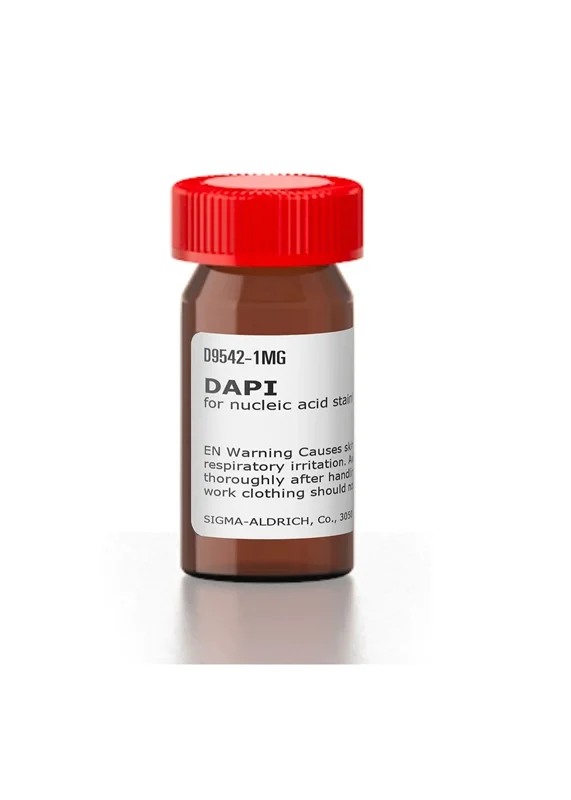 رنگ داپی DAPI برای رنگ امیزی نوکلئیک اسید، سیگما sigma کد D9542