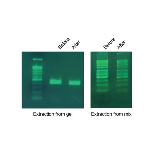 کیت استخراج DNA از ژل اگارز و محصول PCR، پارس طوس کد A101221