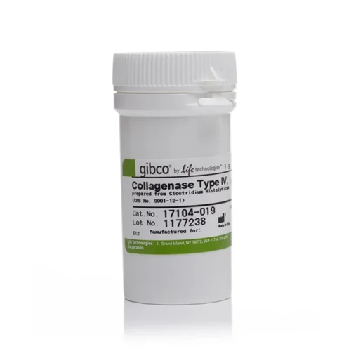آنزیم کلاژناز، Collagenase, Type IV, powder گیبکو (Gibco) کد 17104019