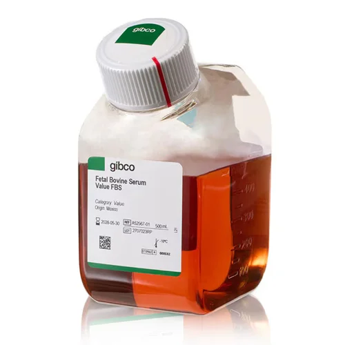 سرم جنین گاوی FBS گیبکو، fetal bovine serum gibco 500ml A5256701